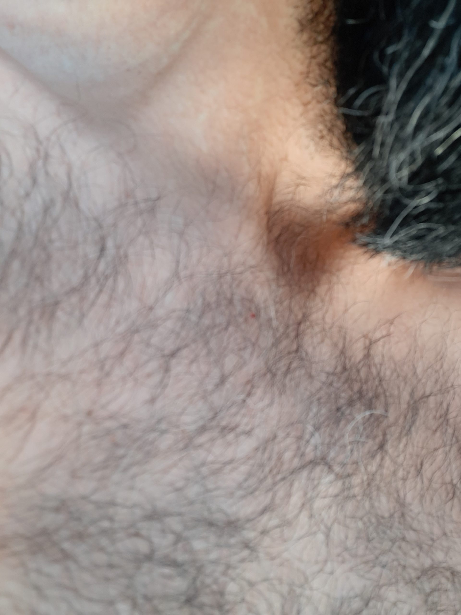 20201207_130045 (1)