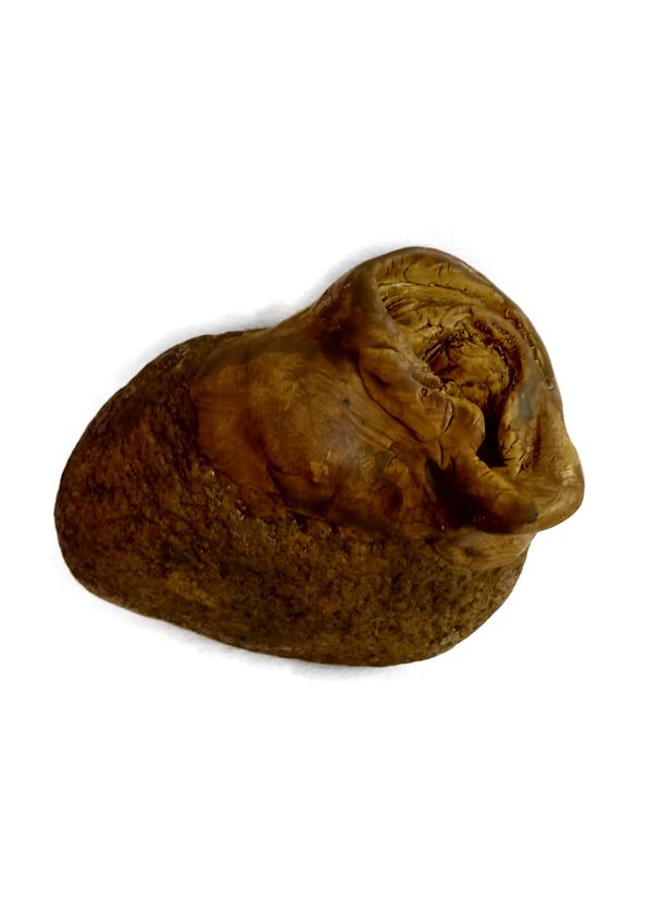 OREJA