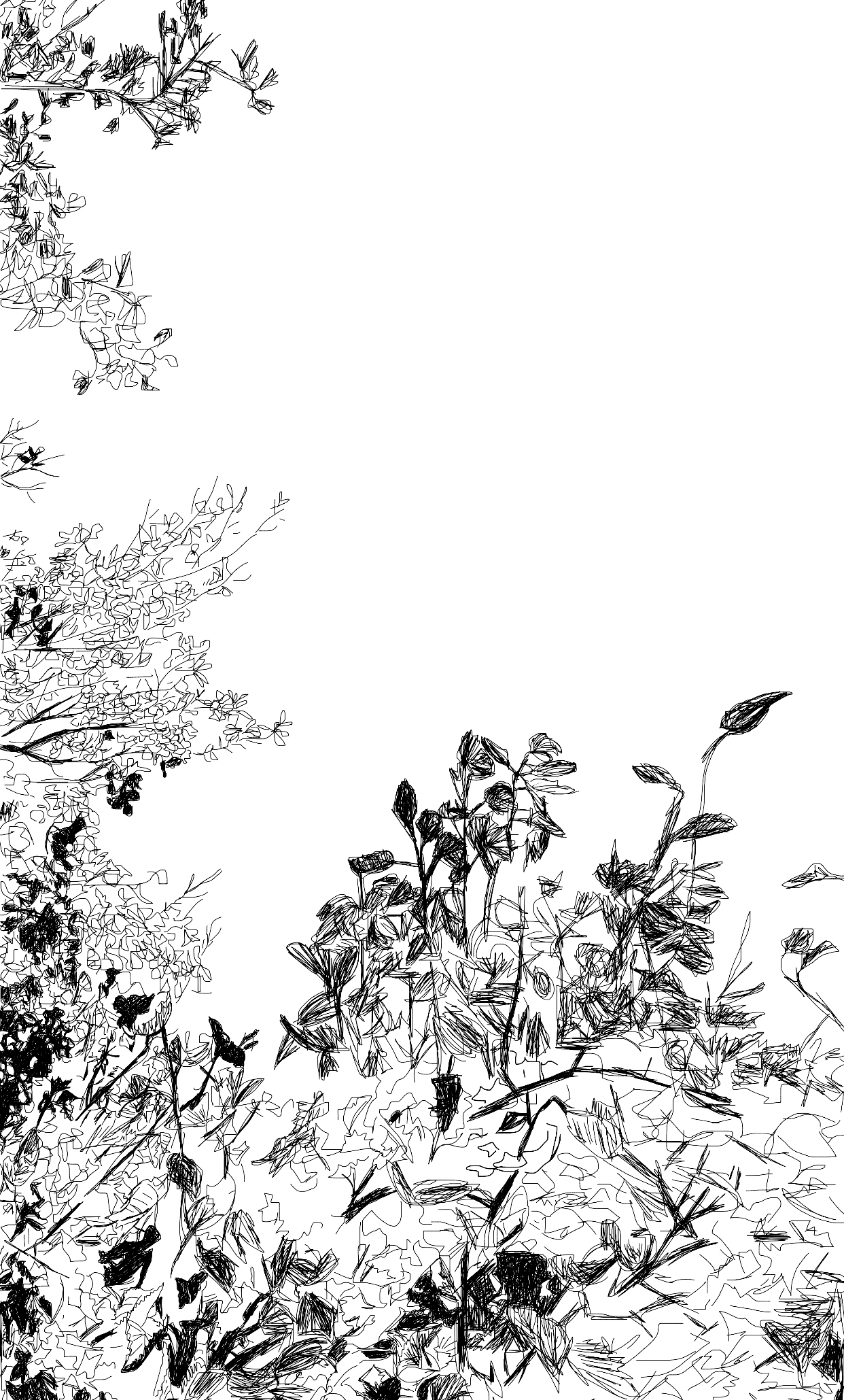 Proceso_AD0