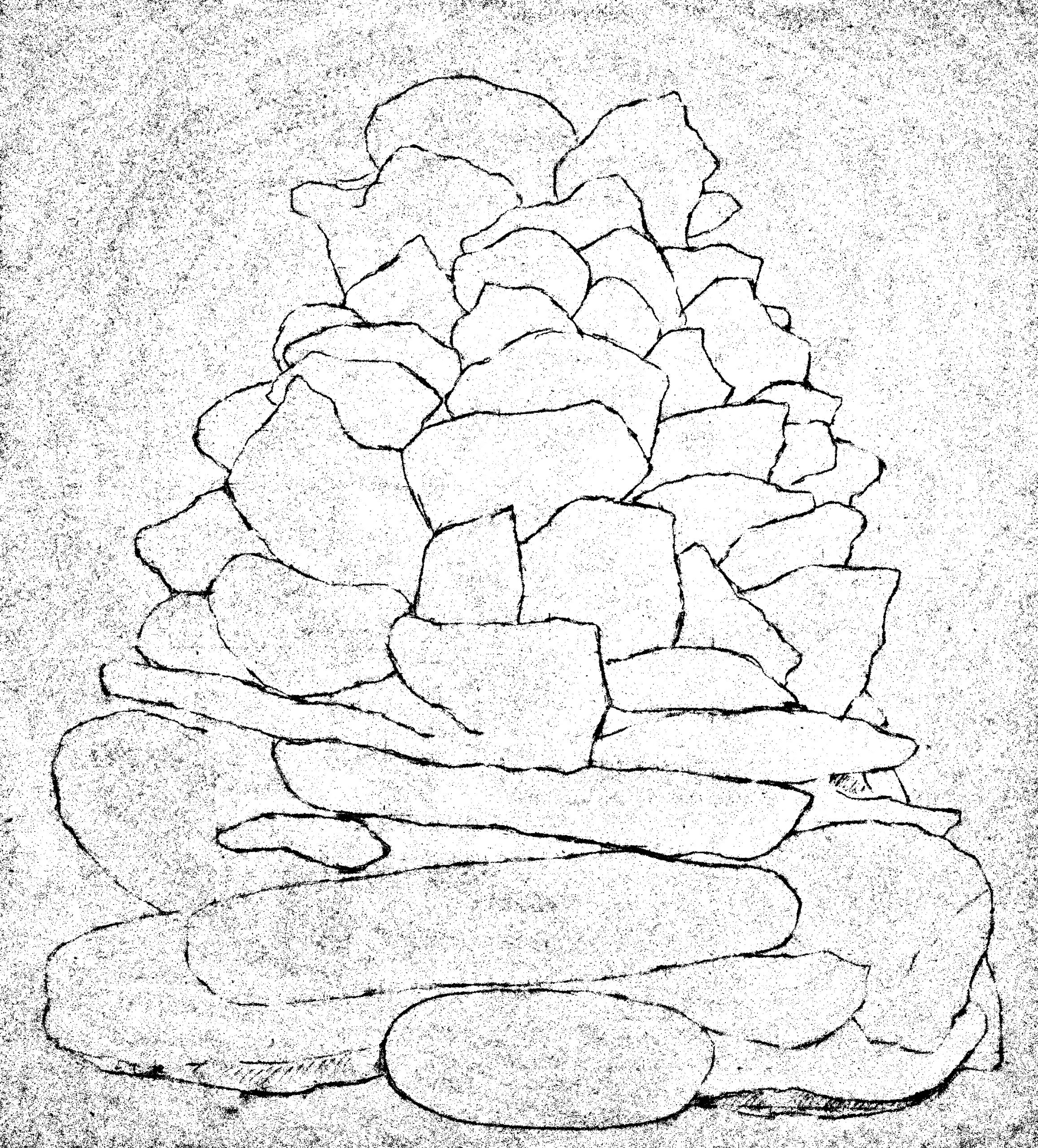 Proceso_AD24