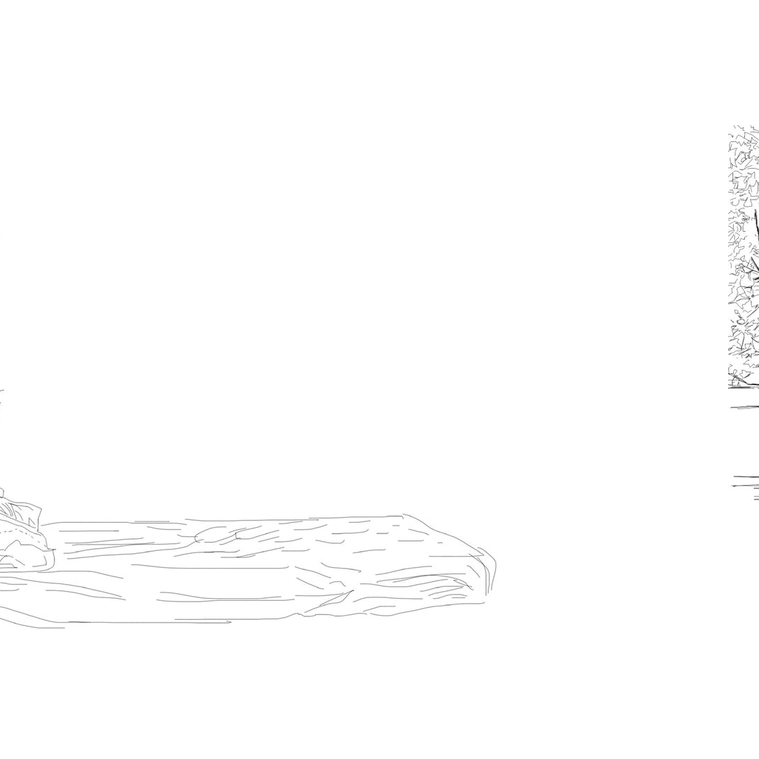 dibujar-la-accion_3